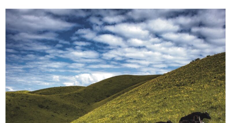 Environmental Defenders of Tibet China’s Persecution of Tibetan Environmental Defenders