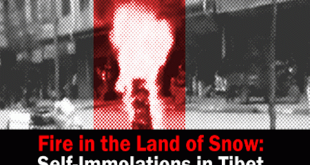 Fire in the Land of Snow: Self-Immolations in Tibet