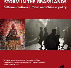 Storm in the Grasslands: Self-immolations in Tibet and Chinese policy