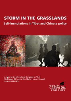 Storm in the Grasslands: Self-immolations in Tibet and Chinese policy